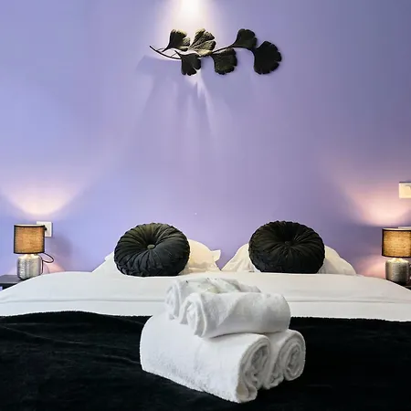 Ng Prestige - Lille L Trichon - Balneo - Netflix - Wifi * 鲁贝