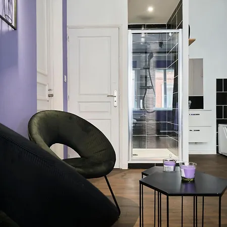 Ng Prestige - Lille L Trichon - Balneo - Netflix - Wifi Appartement Roubaix