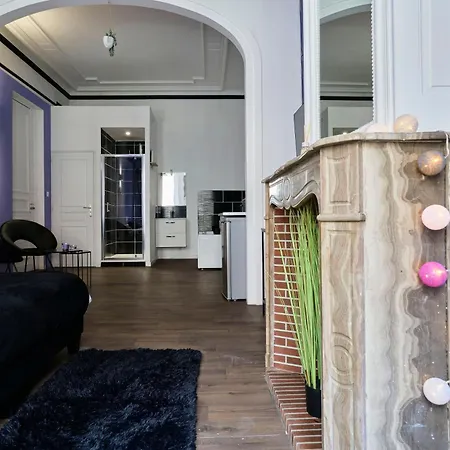 Ng Prestige - Lille L Trichon - Balneo - Netflix - Wifi Appartement *